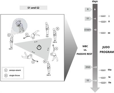 The Specific Judo Training Program Combined With the Whole Body Cryostimulation Induced an Increase of Serum Concentrations of Growth Factors and Changes in Amino Acid Profile in Professional Judokas